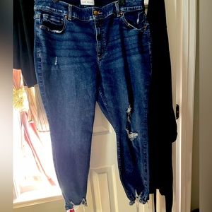 COPY - Lane bryant jeans